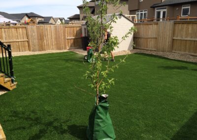 Synthetic Turf Project